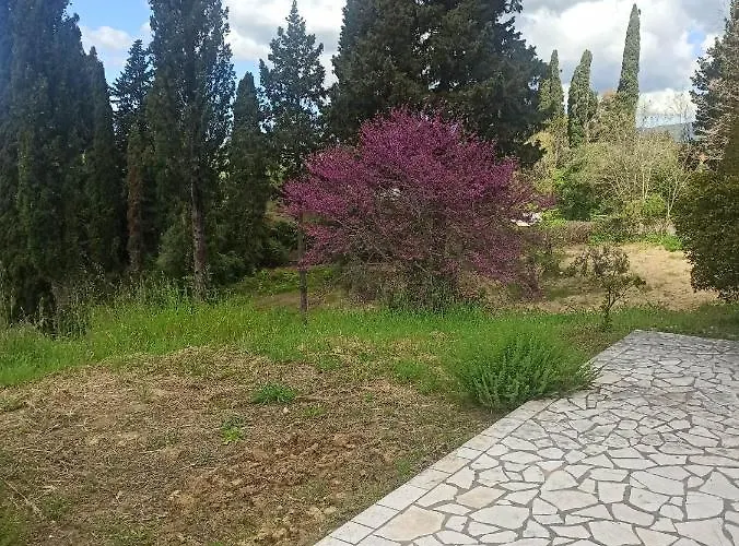 בית נופש Blondie's House