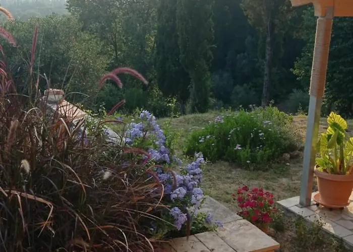 Blondie's House בית נופש