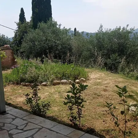 Blondie's House