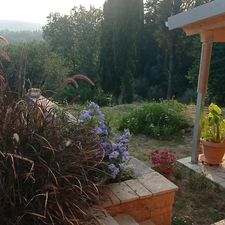 Blondie's House Case de vacanță