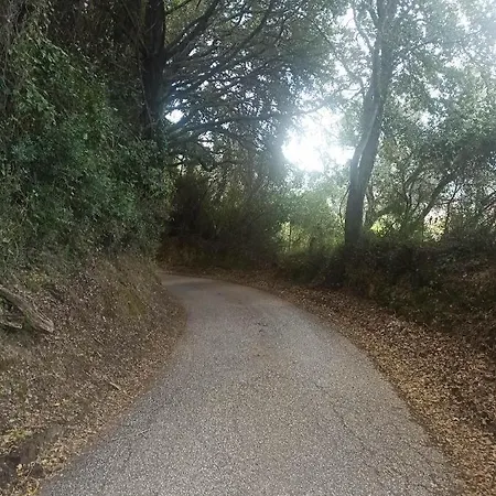 Ferienhaus Blondie's House *