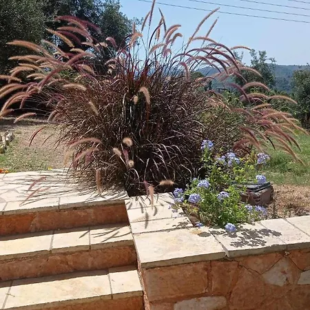 Blondie's House * Evropouloi